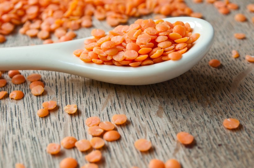 Les lentilles corail Les lentilles corail