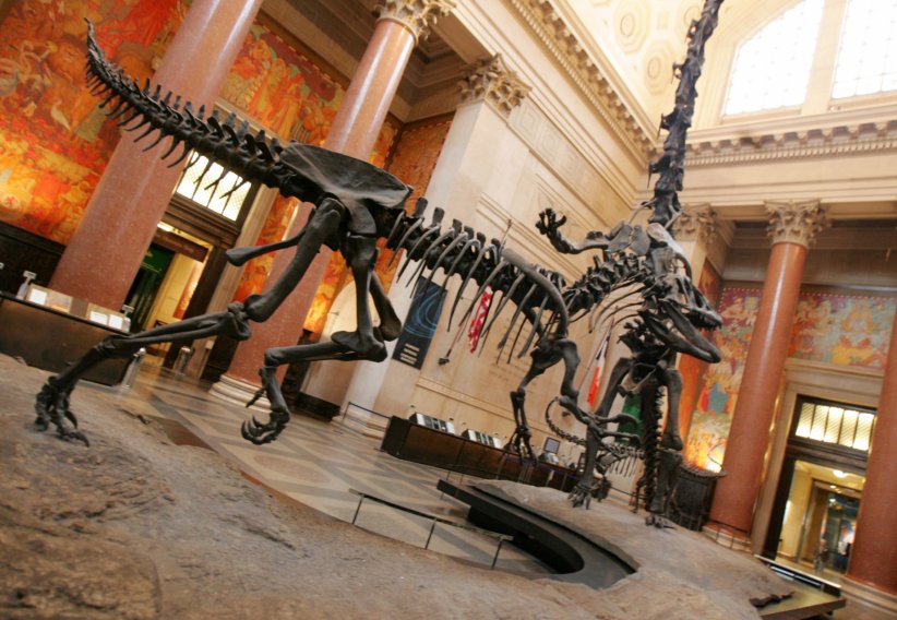 L'American Museum of Natural History, à New York L'American Museum of Natural History, à New York