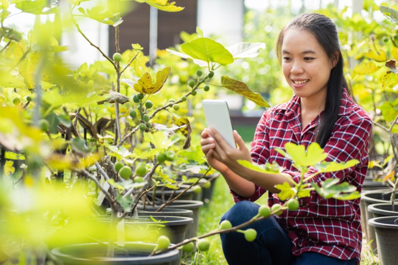 Savez-vous planter chez nous : tout y est ! Savez-vous planter chez nous : tout y est !