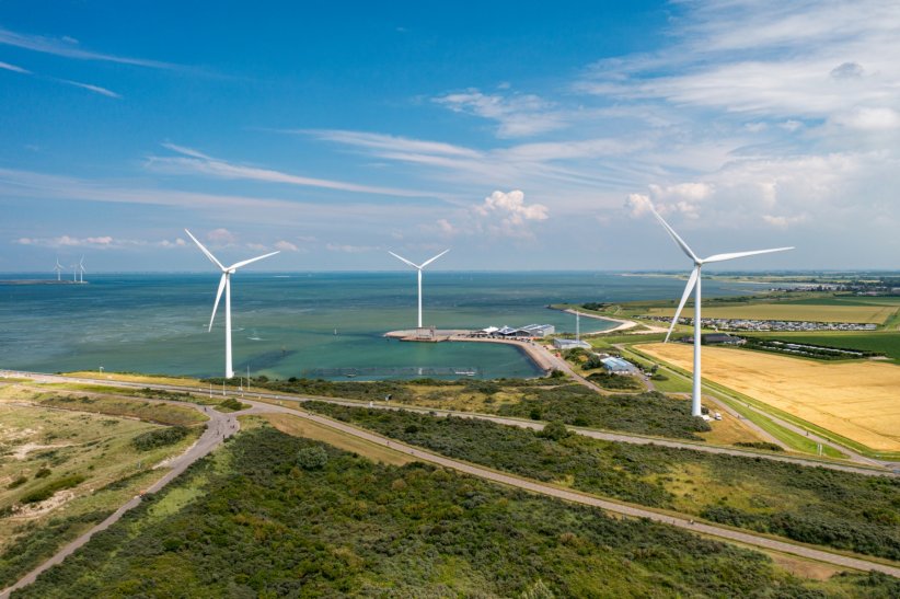 Elles gâchent le paysage Elles gâchent le paysage