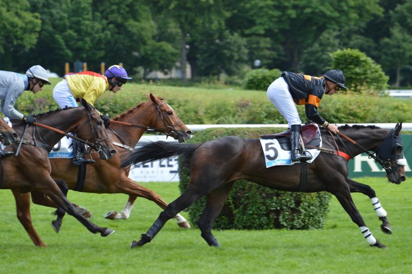 À l'hippodrome d'Auteuil à Paris (75) À l'hippodrome d'Auteuil à Paris (75)