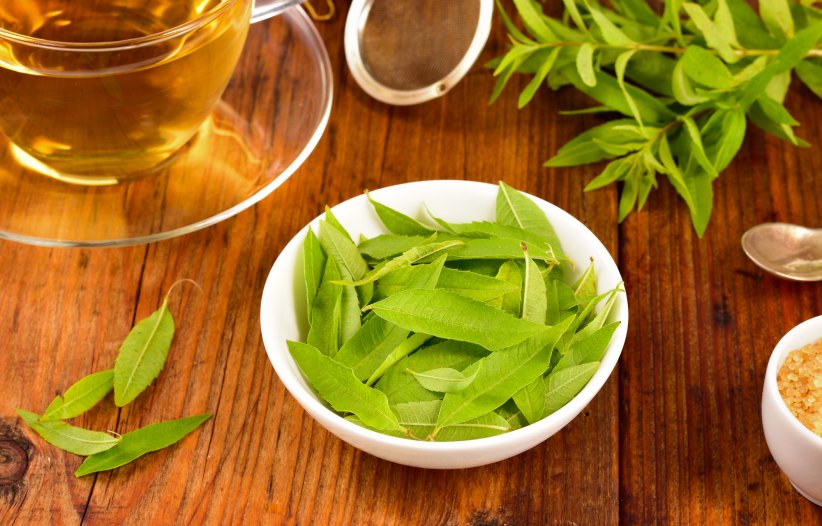 La verveine, reine des infusions La verveine, reine des infusions