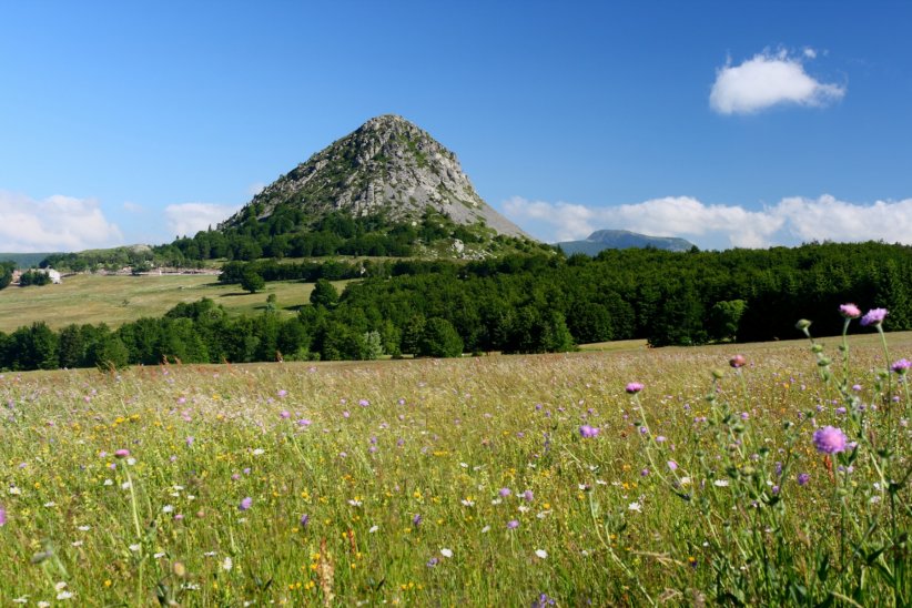 L'Ardèche et ses collines sauvages L'Ardèche et ses collines sauvages