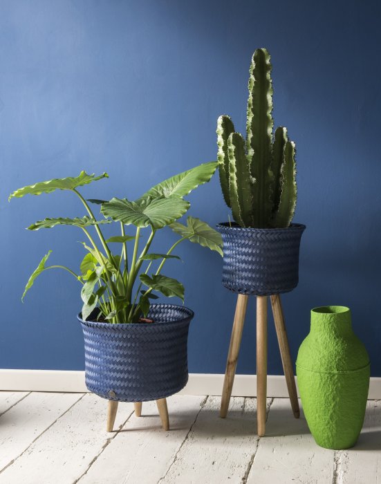 Le bleu partout Le bleu partout