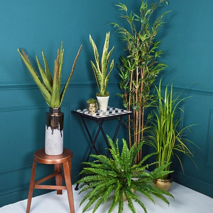 Les plantes en plastique ne sont plus ringardes ! Les plantes en plastique ne sont plus ringardes !
