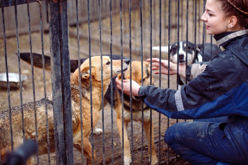 Préférer l'adoption dans un refuge Préférer l'adoption dans un refuge