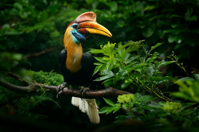 Plus d'une centaine d'espèces en danger Plus d'une centaine d'espèces en danger