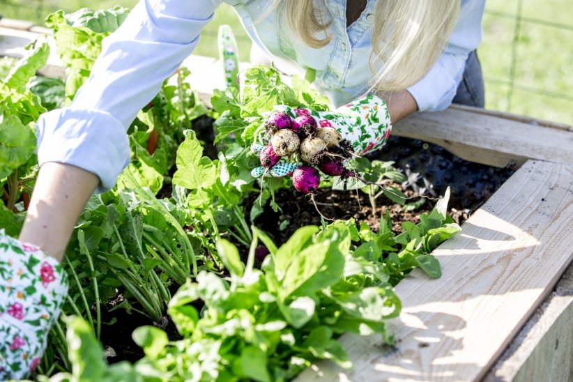 Planter avec une certaine logique Planter avec une certaine logique
