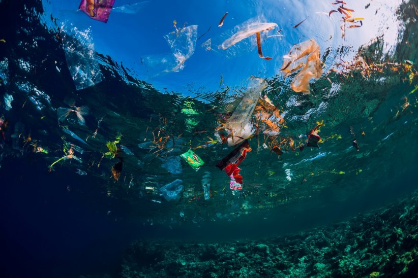 Ne pas abandonner ses déchets Ne pas abandonner ses déchets