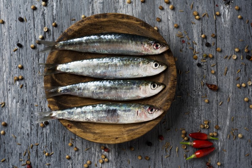 Les poissons gras, boosteurs des neuronnes Les poissons gras, boosteurs des neuronnes