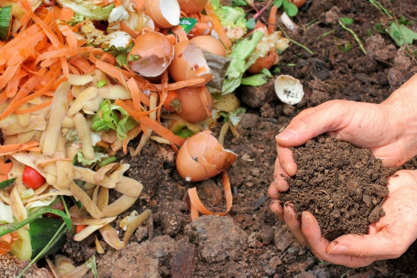Faites votre compost maison Faites votre compost maison