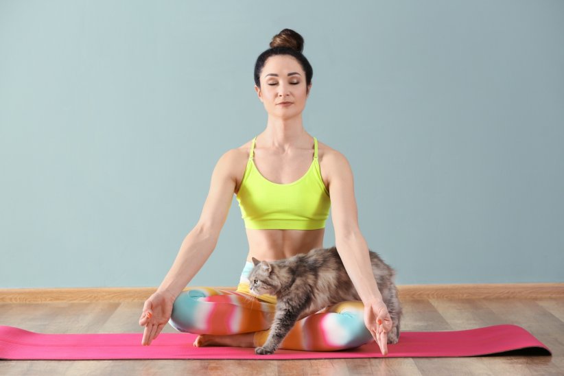 Faire du yoga avec son chat Faire du yoga avec son chat