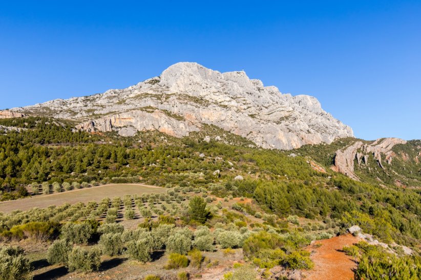 La réserve naturelle Sainte-Victoire La réserve naturelle Sainte-Victoire