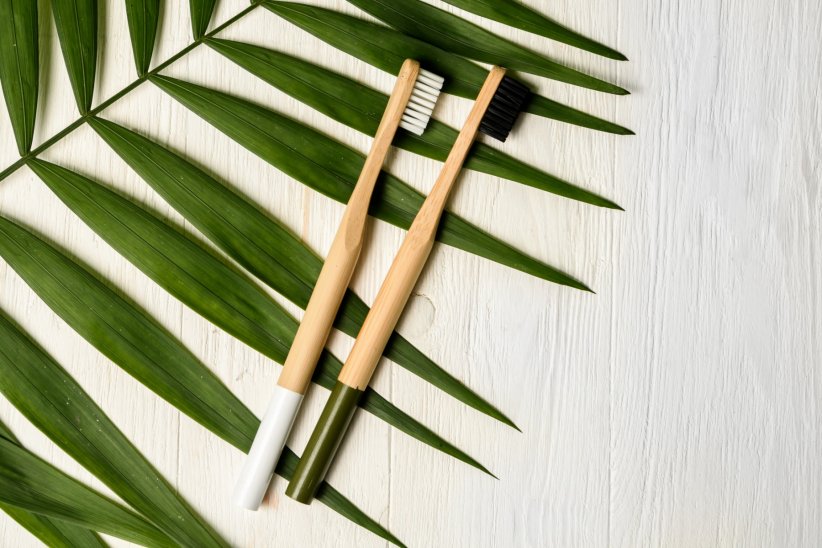 La brosse à dents en bambou : pour en finir avec celle en plastique La brosse à dents en bambou : pour en finir avec celle en plastique