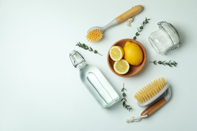 Le vinaigre blanc, répulsif naturel Le vinaigre blanc, répulsif naturel