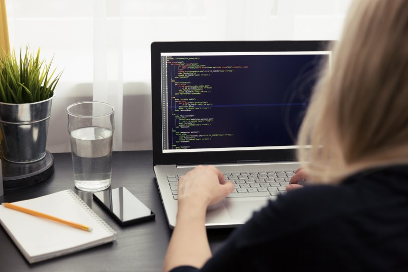 Le programme informatique Le programme informatique