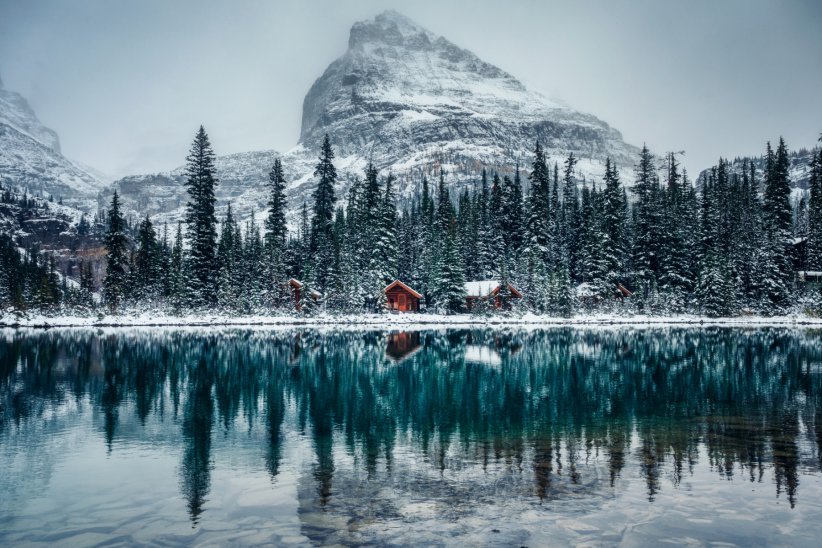 Le lac O'hara, dans le Yoho National Park Le lac O'hara, dans le Yoho National Park