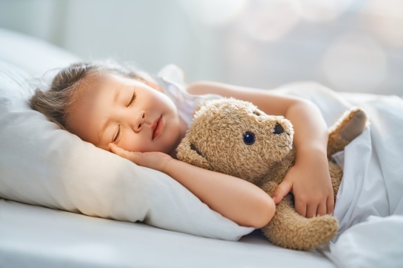 Le sommeil Le sommeil