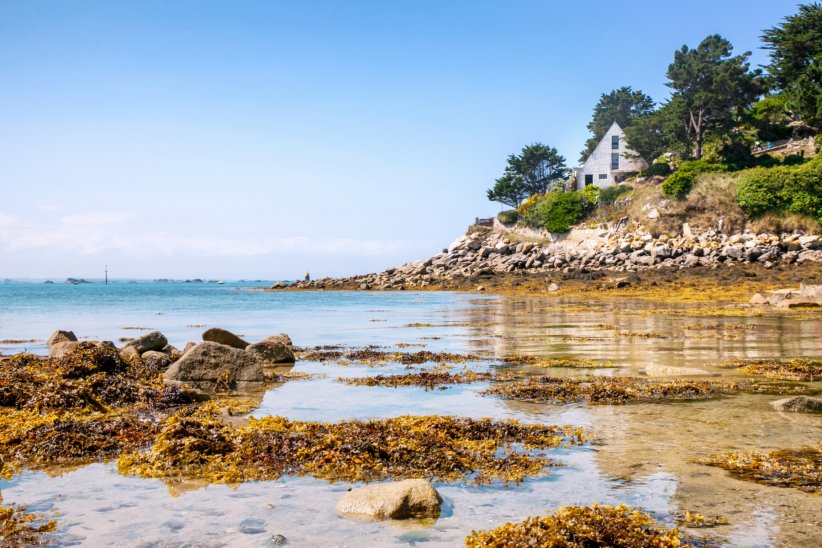 L'île de Batz, dans le Finistère : 320 hectares de nature (ou presque) L'île de Batz, dans le Finistère : 320 hectares de nature (ou presque)
