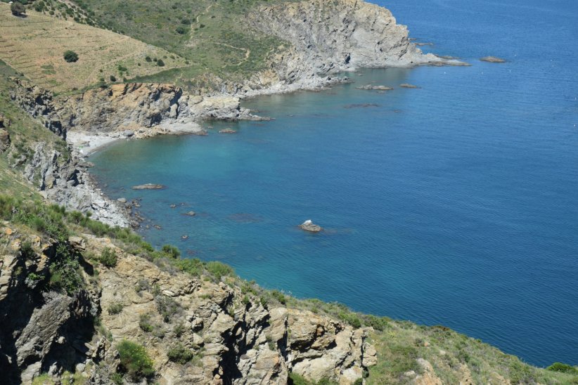 La réserve marine de Cerbère-Banyuls La réserve marine de Cerbère-Banyuls