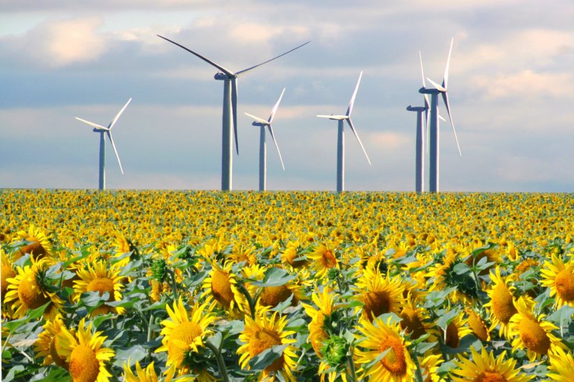 Elles ne sont pas si écologiques que ça Elles ne sont pas si écologiques que ça