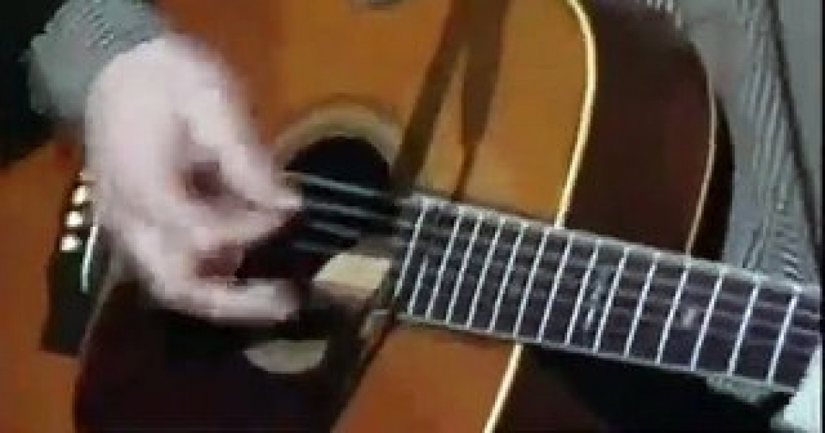 Eric Clapton chante "Layla" au concert MTV Unplugged - Orange