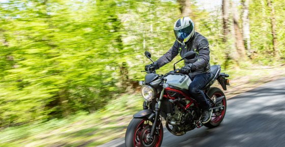 Suzuki SV 650 Euro 5 2021