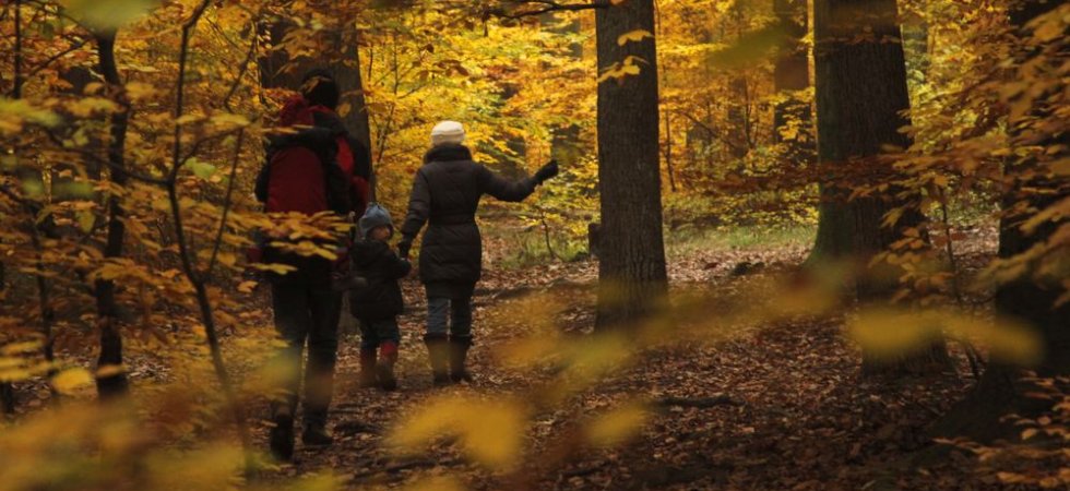 Herige : un partenariat avec le WWF pour améliorer la performance RSE