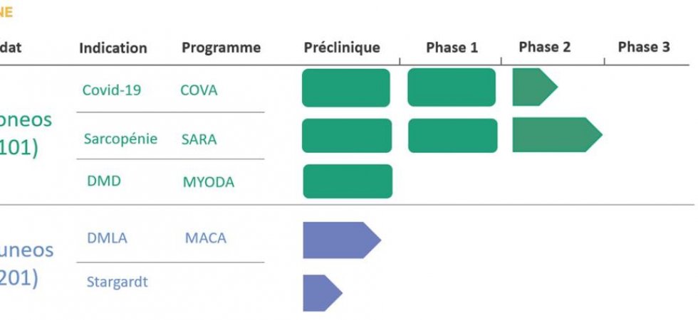 Biophytis : bientôt du nouveau sur l'essai évaluant l'efficacité BIO101 dans le traitement de la Sarcopénie