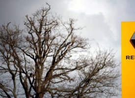 La crise du coronavirus a pesé sur l'image des entreprises françaises