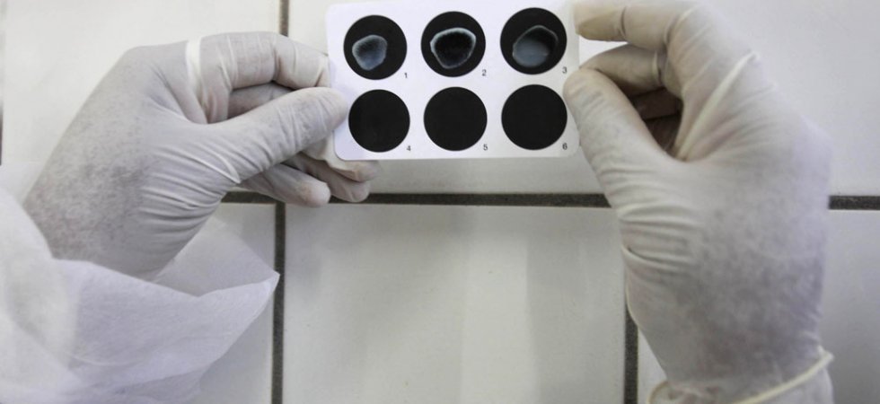 Un centre allemand reconnu va tester le NOX-A12 de Noxxon