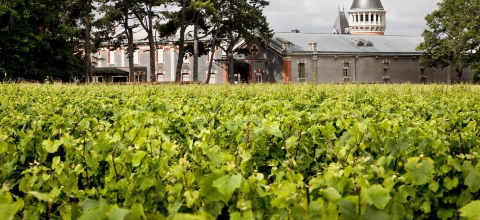 Vranken Pommery Monopole : 94,8 ME de chiffre d'affaires semestriel