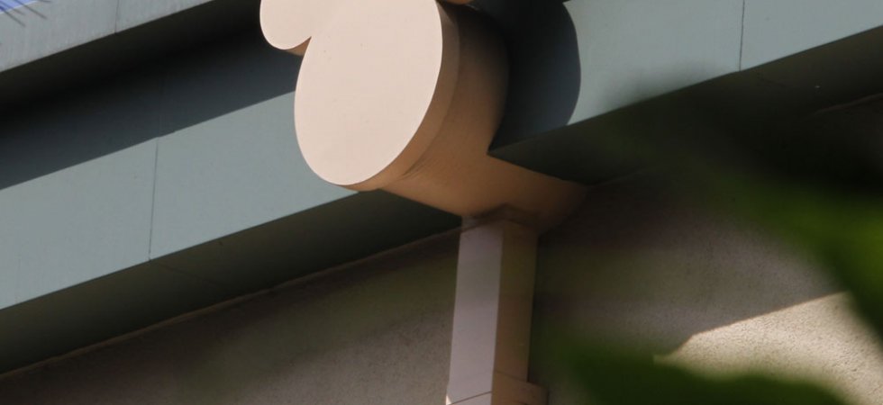Walt Disney dégradé par un spécialiste