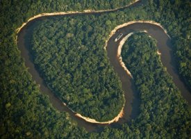 Déforestation en Amazonie : Casino mis en demeure par des ONG