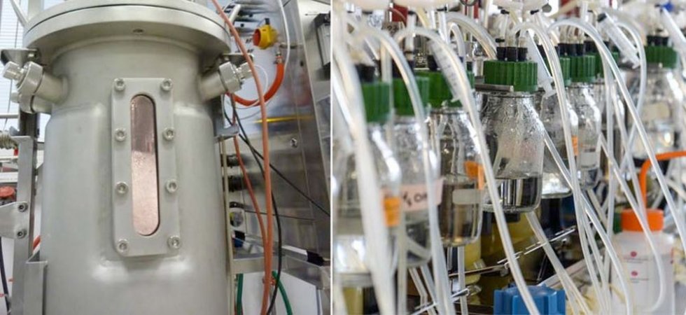 Global Bioenergies : une Audi alimentée à plus de 34 % par de l'essence renouvelable va rouler