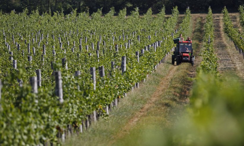10. Ouvrier agricole 10. Ouvrier agricole