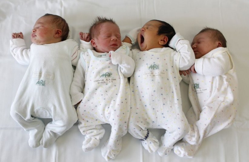Le cactus du produit dangereux va aux transats pour bébé inclinés Le cactus du produit dangereux va aux transats pour bébé inclinés