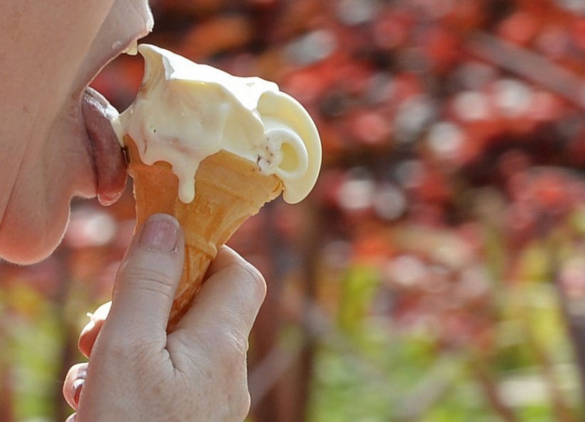 8 - Les fabricants de glaces 8 - Les fabricants de glaces