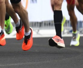 Quand un lièvre remporte un marathon !