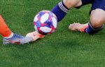 Chine : Le champion en titre fait faillite