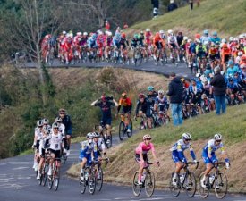 Tour des Flandres : Total Direct Energie, B&B Hotels et Arkéa-Samsic ont reçu une invitation