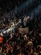 E-Sport : Le Club Championship s'éloigne pour Vitality, AG.AL la surprise ?