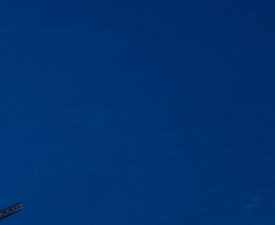 ATP : Djokovic devrait reprendre à Dubaï fin février