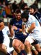 Pro D2 (J30) : Colomiers rejoint le dernier carré, Mont-de-Marsan en lice pour le maintien