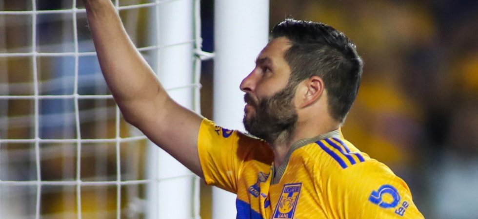 Mexique : L'hommage fou des Tigres à Gignac