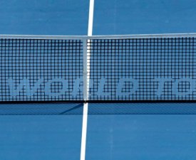 ATP - Los Cabos : Le tableau et les résultats