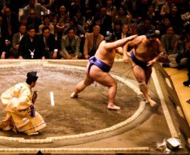 Sumo : Un record de 110 ans battu 
