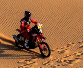 Rallye-raid - Dakar (E11/motos) : Brabec y est presque 