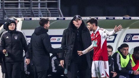 Brest - Roy : « Ce n'est jamais carton rouge »