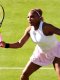 WTA - Queen's : Serena Williams n'avait « rien d'autre de mieux à faire »
